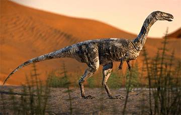 Ученые обнаружили в Китае огромные следы динозавров