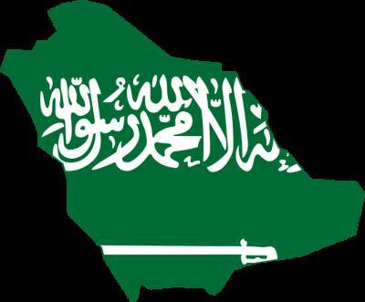 Саудовская Аравия сбила баллистическую ракету над Наджраном