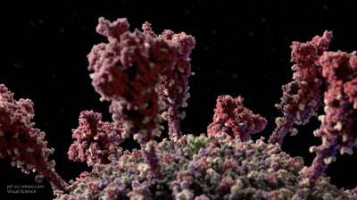 Ученые выявили самый благоприятный для коронавируса климат
