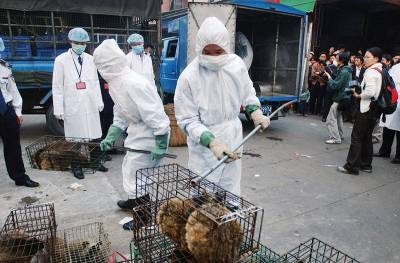 На рынке в Пекине обнаружен рассадник коронавируса