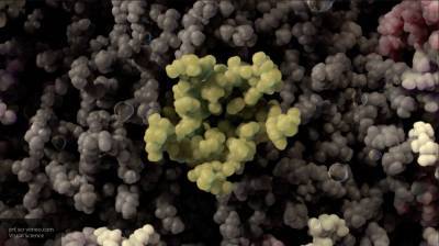Ученые выявили "любимый" климат коронавируса