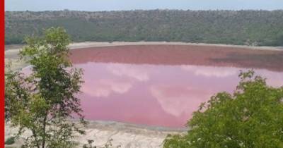 Индийское озеро Лонар окрасилось в розовый цвет