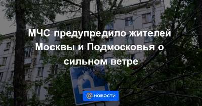 МЧС предупредило жителей Москвы и Подмосковья о сильном ветре