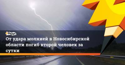 От удара молнией в Новосибирской области погиб второй человек за сутки