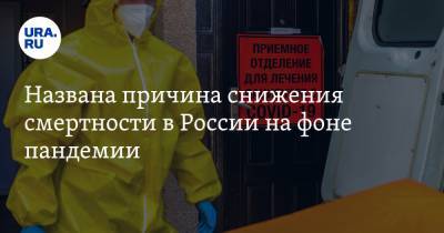 Названа причина снижения смертности в России на фоне пандемии