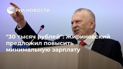 "30 тысяч рублей": Жириновский предложил повысить минимальную зарплату