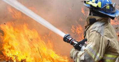 Площадь лесного пожара на Камчатке за 4 дня увеличилась в 100 раз