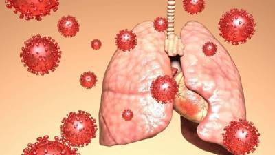 Пульмонолог назвал сроки восстановления легких после коронавируса