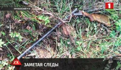 В Пружанском районе инспекторы природоохраны задержали троих мужчин, их подозревают в браконьерстве