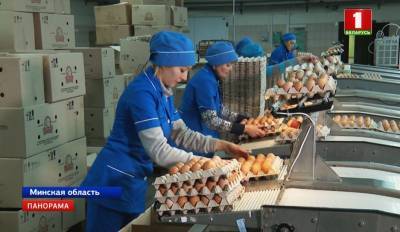 Белорусский рынок труда: что почем?
