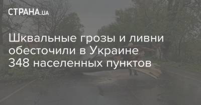 Шквальные грозы и ливни обесточили в Украине 348 населенных пунктов