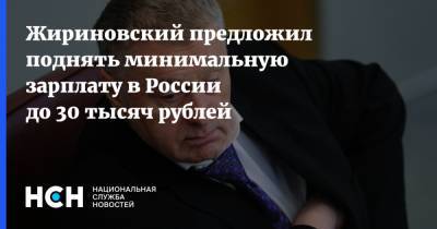 Жириновский предложил поднять минимальную зарплату в России до 30 тысяч рублей