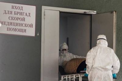 В России выявлено 8835 новых заражений коронавирусом