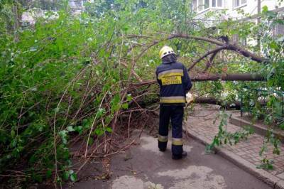 В Украине стихия забрала жизнь уже трёх человек