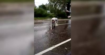 После дождя водители в Тверской области ловили рыбу на дороге