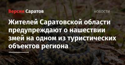 Жителей Саратовской области предупреждают о нашествии змей на одном из туристических объектов региона