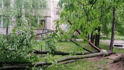 Сильный ветер обесточил болле трехсот населенных пунктов на Украине