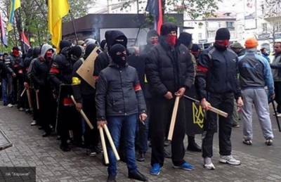 Молодежь Донбасса стала жертвой агитации радикальных организаций Украины