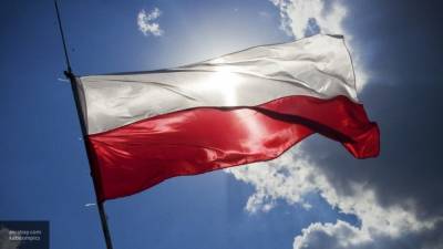 Sohu: Польша поплатится за попытки развязать газовую войну против России