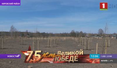 Закладка большого парка из тысячи деревьев идет в деревне Борки Кировского района