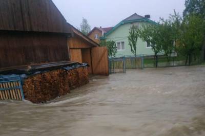 На Прикарпатье из-за сильных ливней поселок оказался под водой: фото