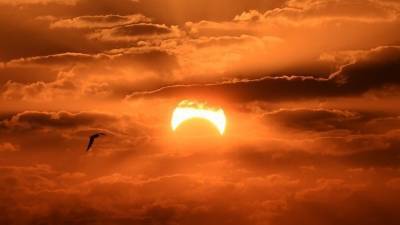 Коридор затмений и летнее солнцестояние: чего остерегаться на неделе с 15 по 21 июня