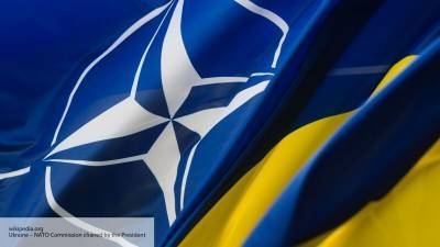 Sohu: НАТО обманул Украину новым статусом