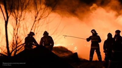 Появились кадры лесного пожара рядом с деревней Эссо в Камчатском крае