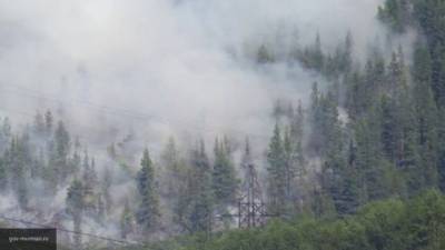 Масштабный природный пожар на Камчатке попал на видео