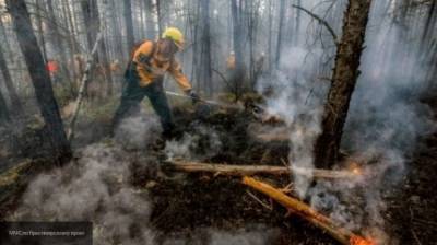 Видео лесного пожара на Камчатке поразило пользователей Сети