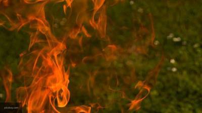 Грузинские пожарные взяли под контроль горящие пни в абастуманском лесу