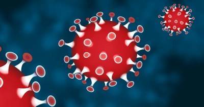 Учёные из Италии назвали три основные фазы коронавируса
