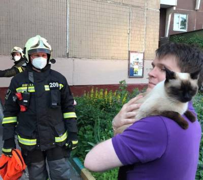 Столичные спасатели помогли кошке выбраться с козырька подъезда