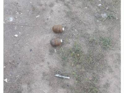 В Одесской области 5 человек пострадали от взрыва боевой гранаты