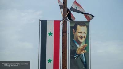 Самонкин: политика Асада по сбережению народа Сирии демонстрирует курс на спасение страны