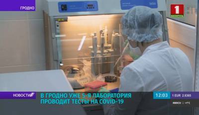 В Гродно уже 5-я лаборатория проводит тесты на COVID-19