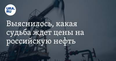Выяснилось, какая судьба ждет цены на российскую нефть