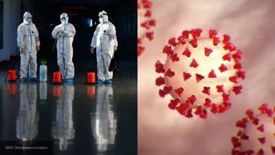 Власти Пекина оценили риски распространения коронавируса в городе из-за вспышки на рынке