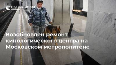 Возобновлен ремонт кинологического центра на Московском метрополитене