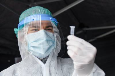 Более 15,1 млн тестов на коронавирус провели в России