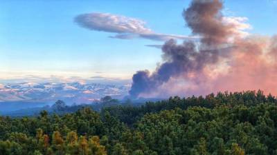 Площадь лесного пожара на Камчатке увеличилась до 750 га