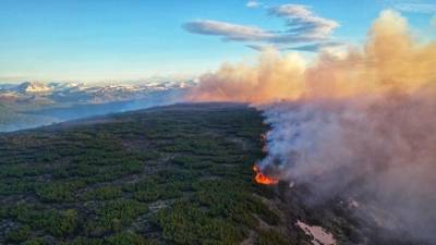 Лесной пожар возле камчатского райцентра за пять дней разросся в 250 раз – до 750 га