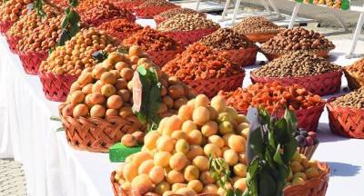 Дары на экспорт: в Россию отправлены тонны сочных таджикских персиков