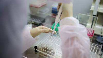 В России за сутки выявили 8246 случаев коронавируса