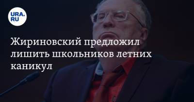 Жириновский предложил лишить школьников летних каникул
