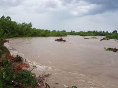 На Буковине прошли мощные дожди: реки вышли из берегов