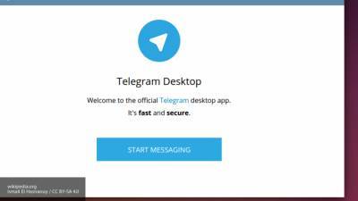 "Справедливая Россия" намерена внести в ГД законопроект о запрете блокировки Telegram