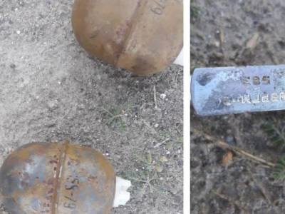 В Одесской области произошел взрыв гранаты: у пятерых человек – осколочные ранения конечностей