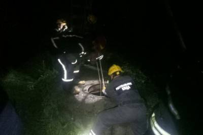 В парке "Бабий Яр" мужчина упал в колодец, спасатели провели целую операцию, чтобы его достать