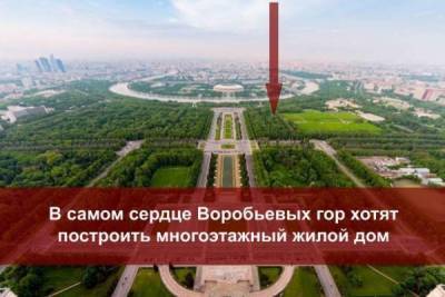 Жители Москвы пожаловались на планы построить жилой комплекс в зелёной зоне около МГУ